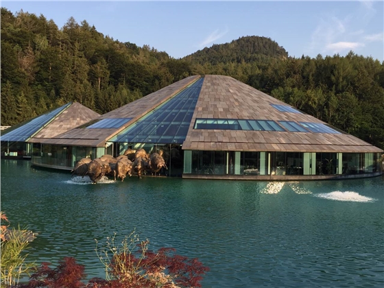余教授奧地利鄉村行：紅牛辦公室建筑的聯(lián)想