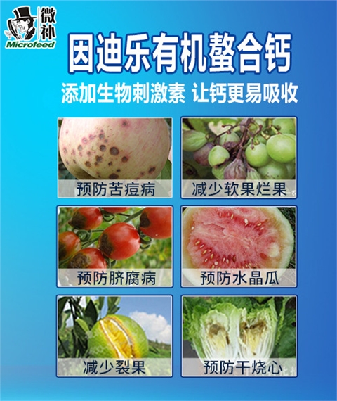 因迪樂(lè )有機螯合鈣