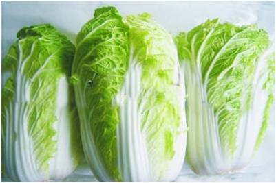 #微肥課堂#白菜類(lèi)蔬菜對哪些營(yíng)養元素敏感？