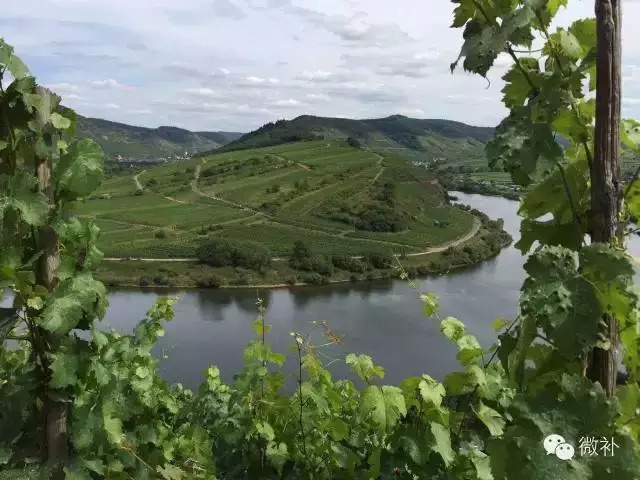 余教授德國鄉村行：再回首摩澤爾河畔的童話(huà)世界吧