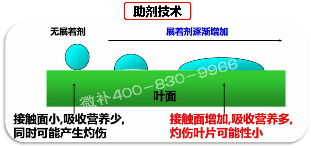 余教授德國鄉村行：我在德國為什么不會(huì )點(diǎn)啤酒了？