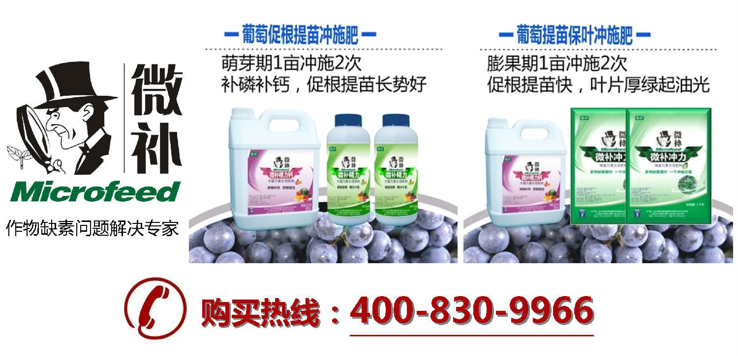 余教授德國鄉村行：世界葡萄園的無(wú)限光在摩澤爾河