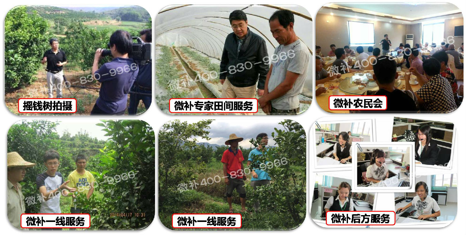 【余教授奧地利鄉村行：音樂(lè )之聲把游客帶到了薩爾斯堡】