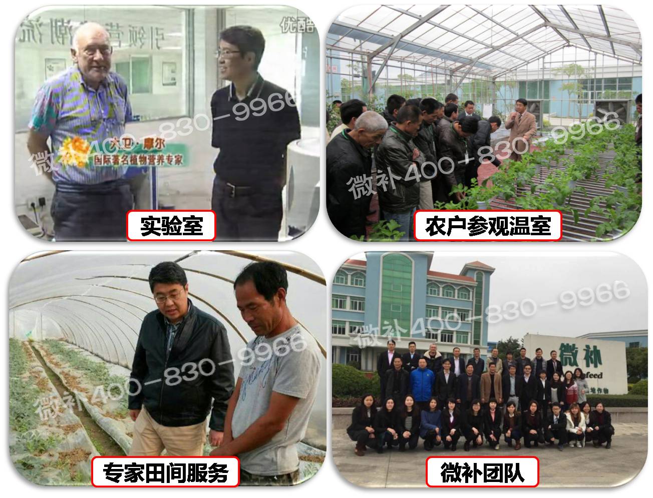 余教授奧地利維也納行：不懂音樂(lè )的農民教授，在音樂(lè )之都的感受