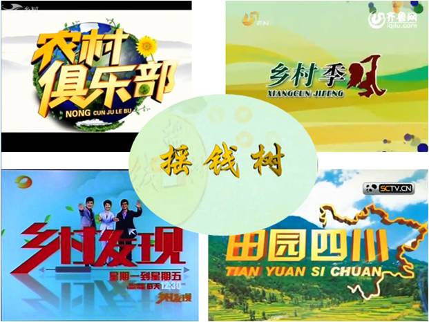 廣東電視臺搖錢(qián)樹(shù)欄目的余教授