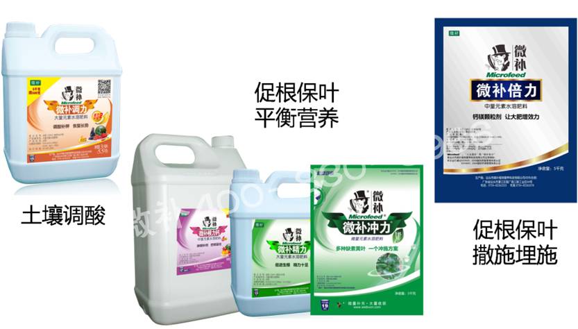 微補由國際植物營(yíng)養專(zhuān)家領(lǐng)銜的微肥企業(yè),40年微肥經(jīng)驗,針對80多種農作物,有100多個(gè)微肥產(chǎn)品,涵蓋葉面肥,沖施肥,水溶肥等.咨詢(xún)熱線(xiàn):400-830-9966微補系列微肥,質(zhì)量好,肥效高,見(jiàn)效快,后勁大,無(wú)公害.