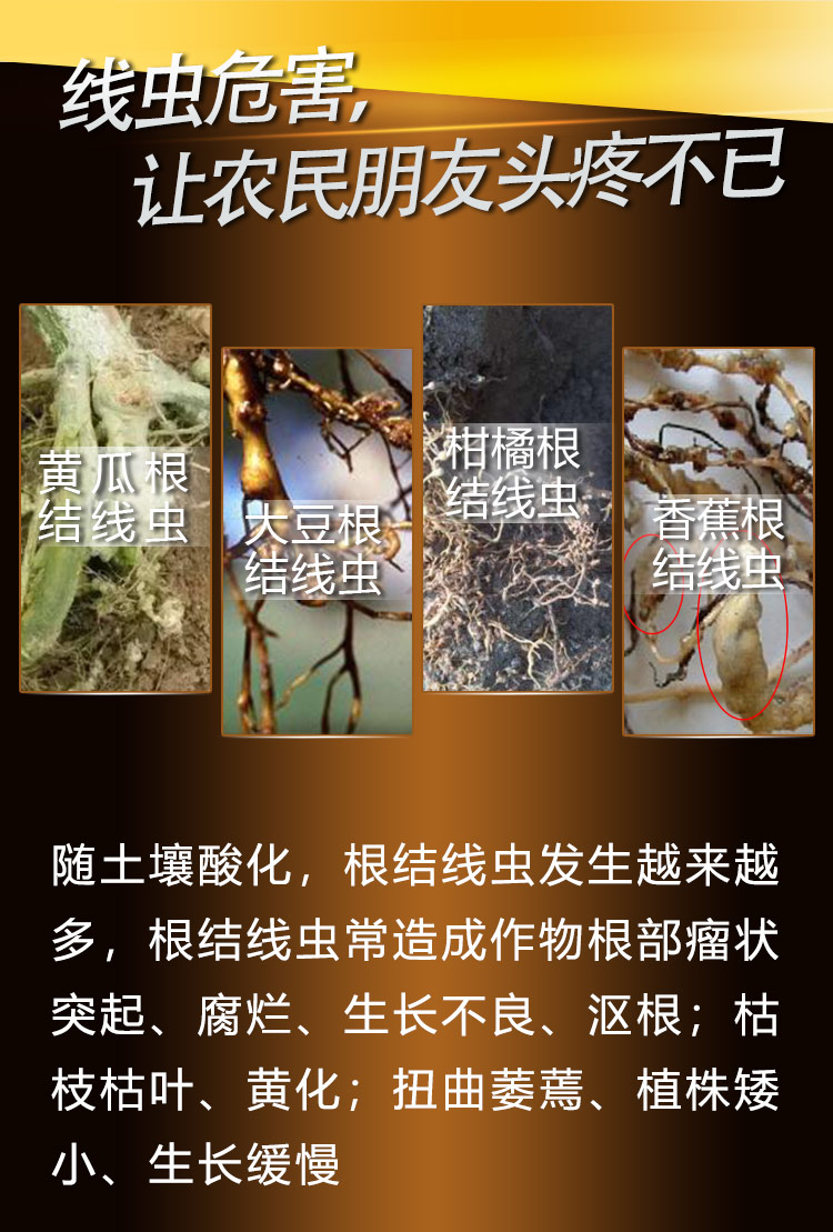 22BioMicro線(xiàn)蟲(chóng)防控系列【手機版】_03.jpg