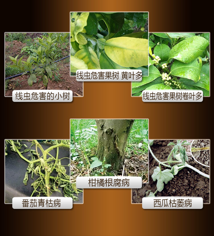 22BioMicro線(xiàn)蟲(chóng)防控系列【手機版】_04.jpg