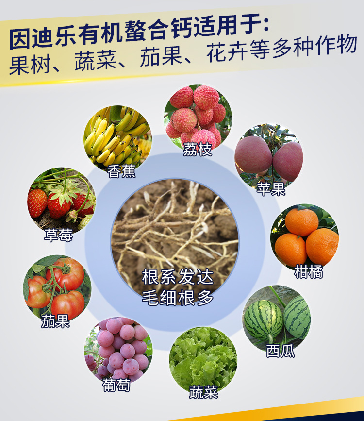 因迪樂(lè )有機螯合鈣_02.jpg