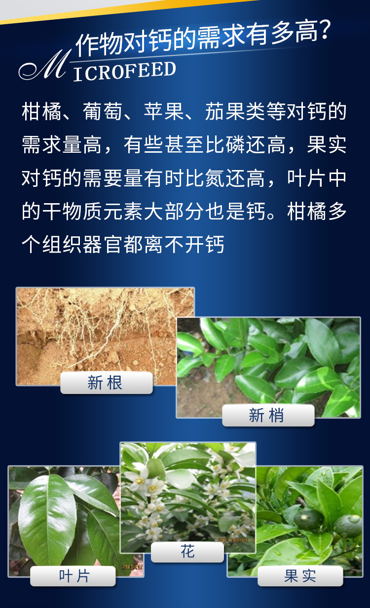 因迪樂(lè )有機螯合鈣_03.jpg