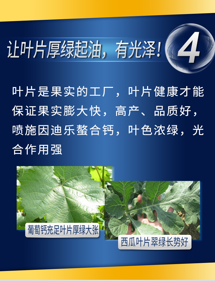 因迪樂(lè )有機螯合鈣_07.jpg