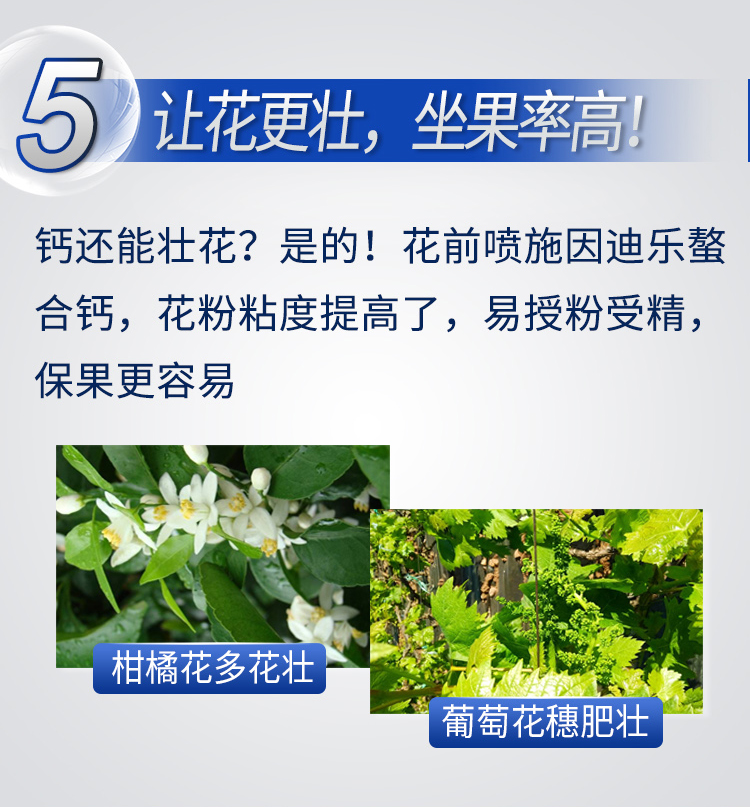 因迪樂(lè )有機螯合鈣_08.jpg