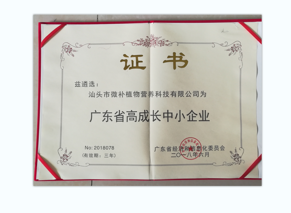 廣東省高成長(cháng)中小企業(yè)