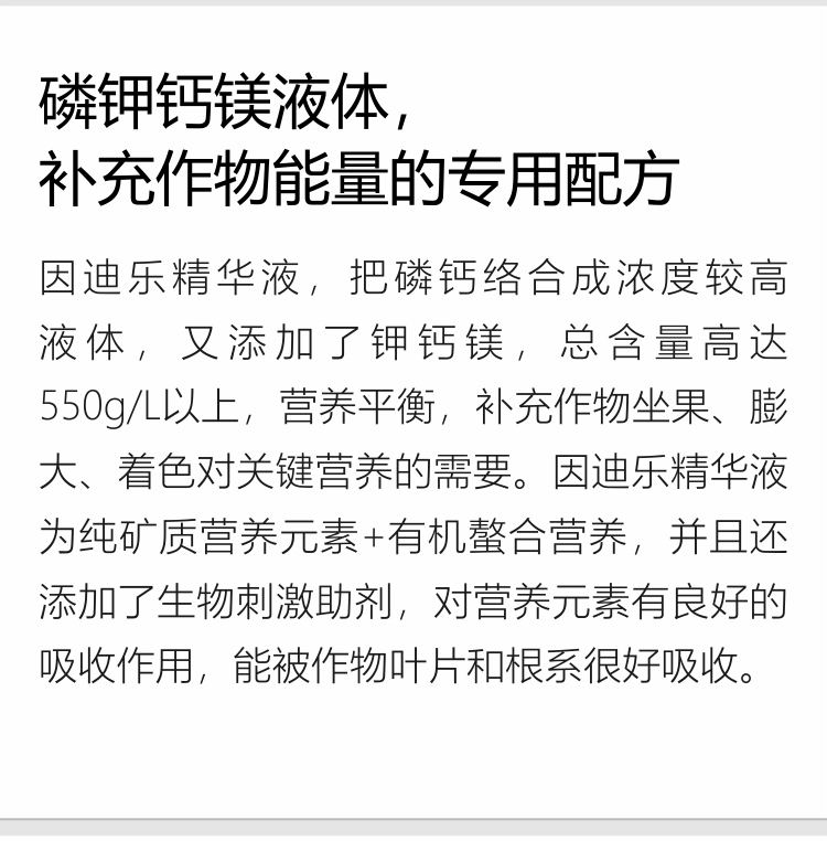 因迪樂(lè )精華液(1)_02.jpg