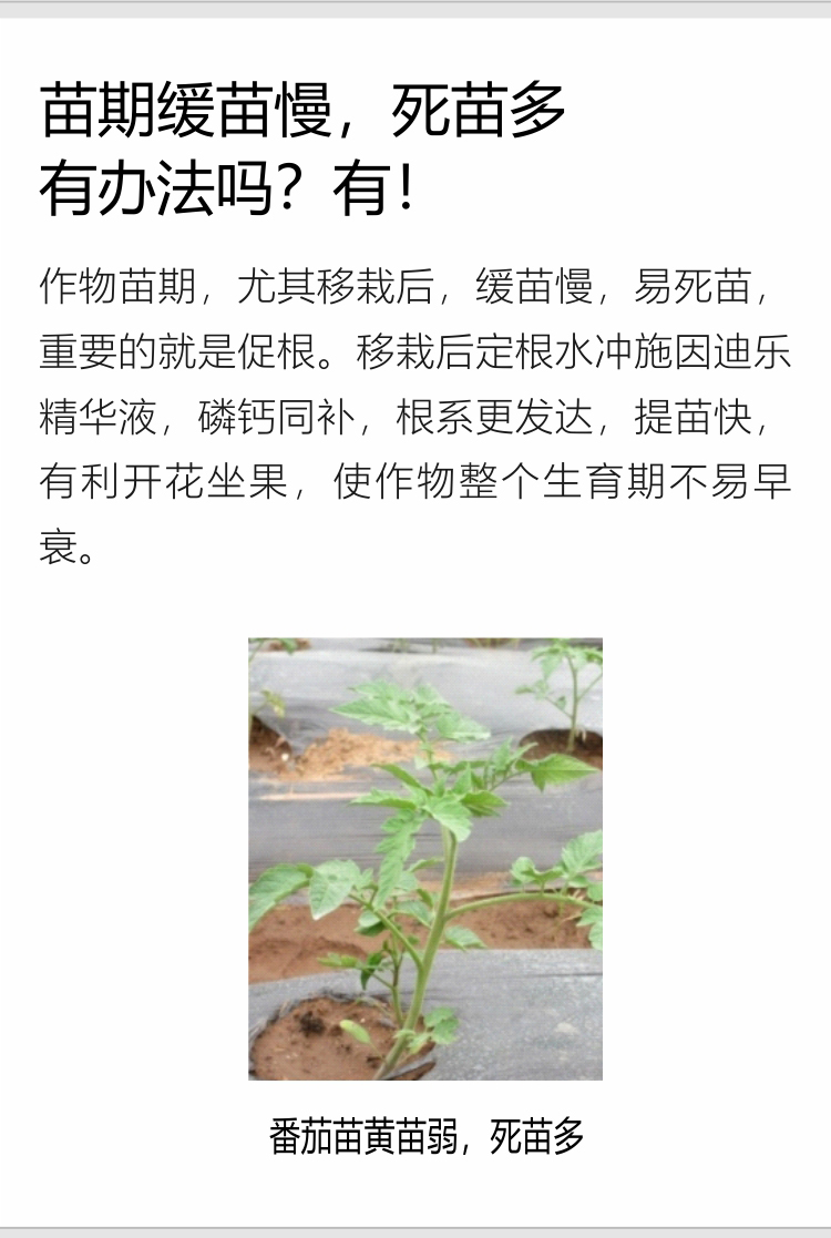 因迪樂(lè )精華液(1)_04.jpg
