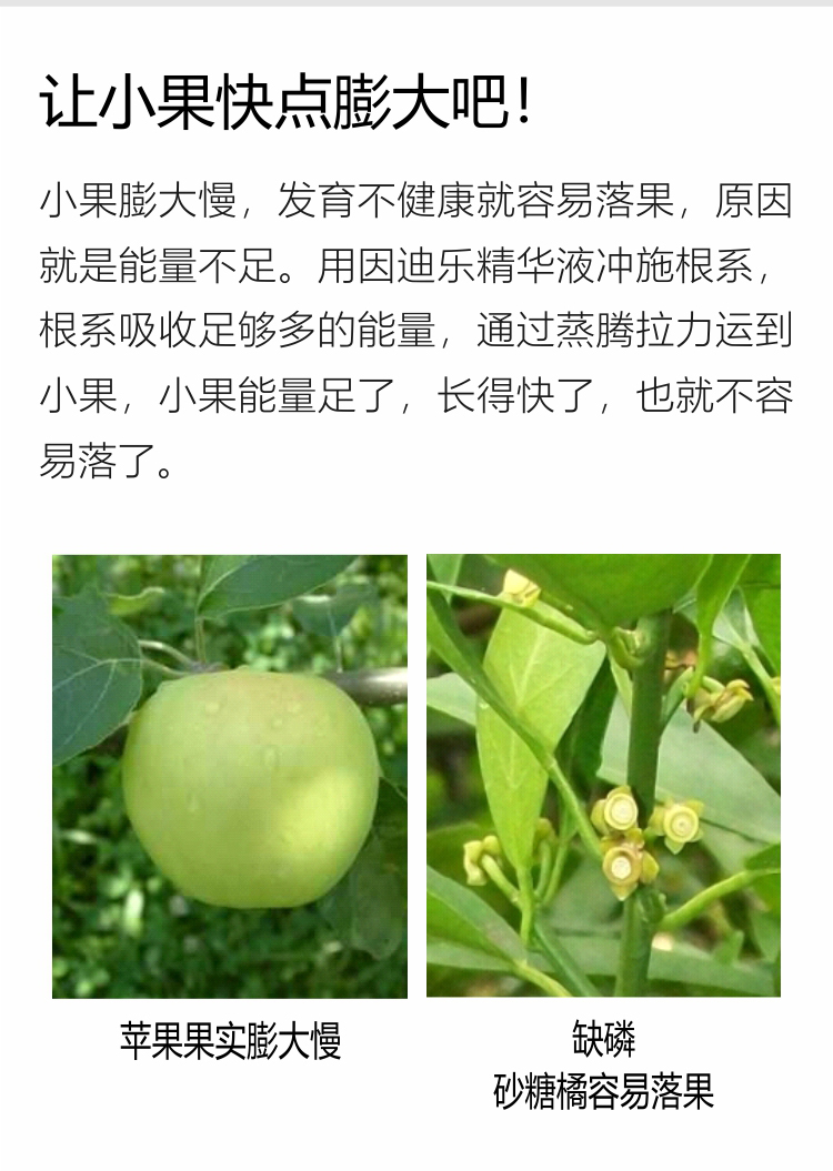 因迪樂(lè )精華液(1)_05.jpg