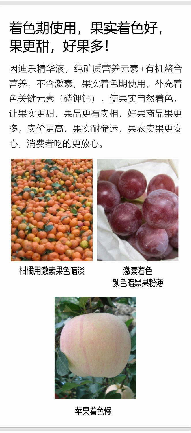 因迪樂(lè )精華液(1)_06.jpg