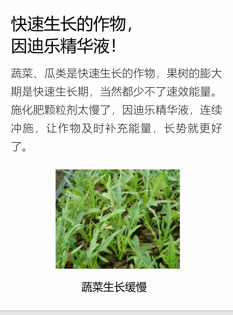 因迪樂(lè )精華液(1)_07.jpg