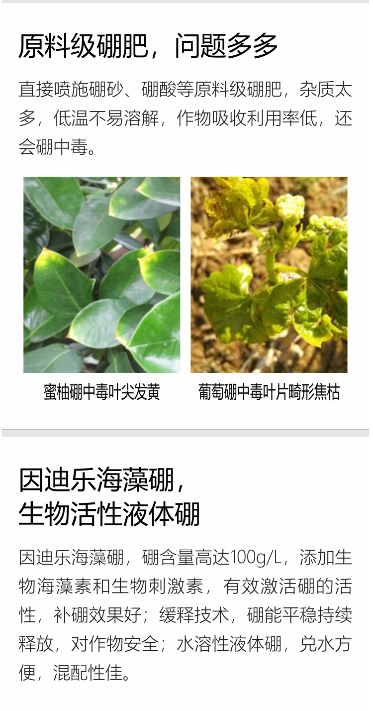 因迪樂(lè )有機海藻硼750_03.jpg