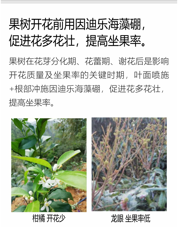 因迪樂(lè )有機海藻硼750_05.jpg