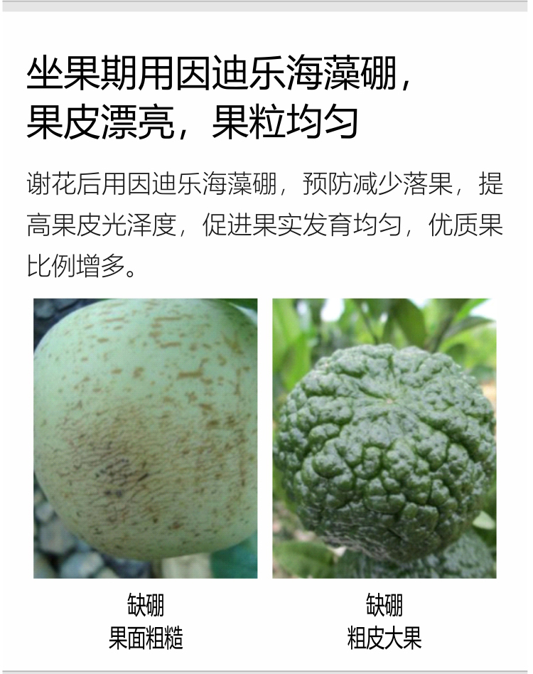 因迪樂(lè )有機海藻硼750_06.jpg