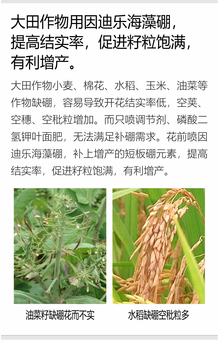因迪樂(lè )有機海藻硼750_07.jpg