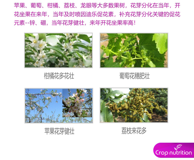 因迪樂(lè )有機促花素_03.jpg