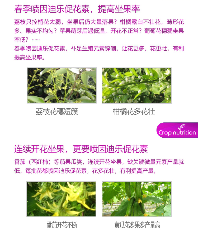 因迪樂(lè )有機促花素_04.jpg
