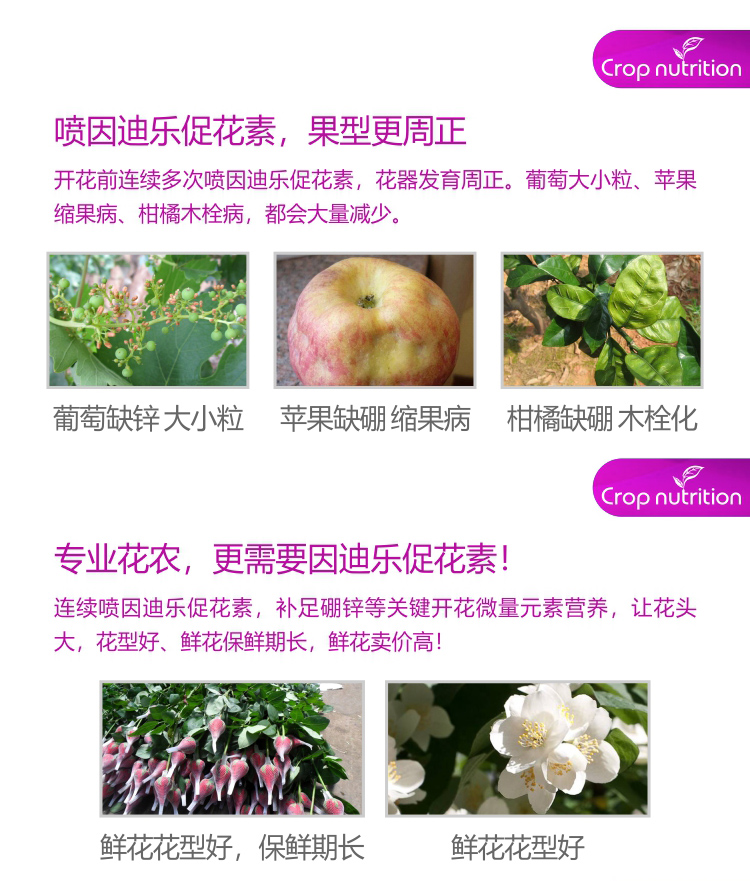 因迪樂(lè )有機促花素_05.jpg