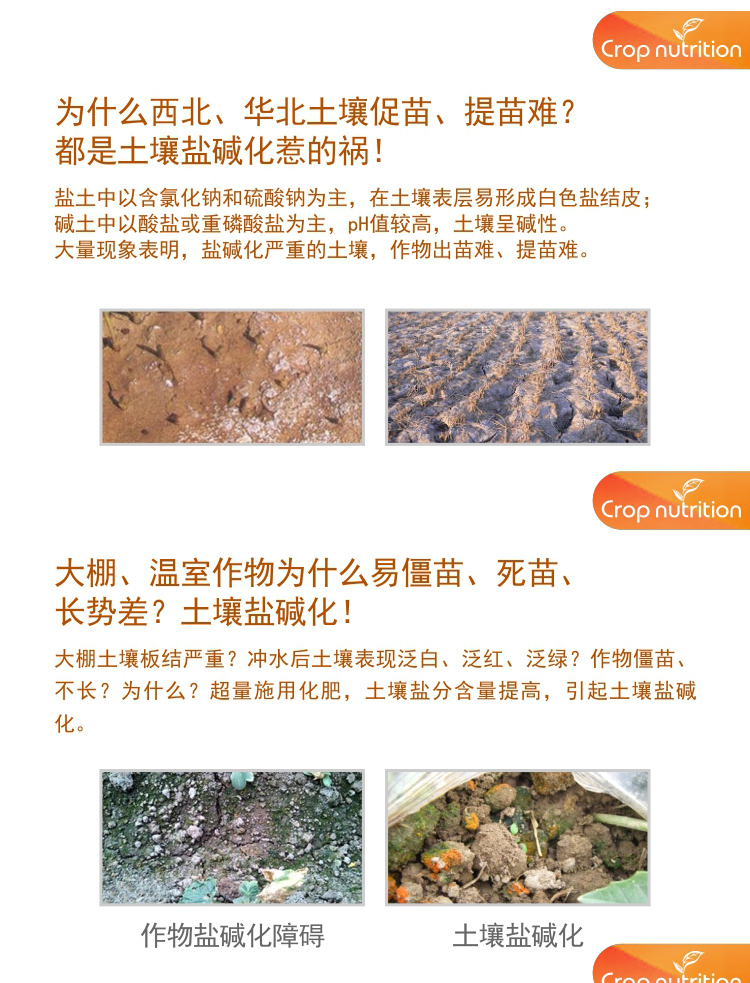 因迪樂(lè )有機鹽堿土調理水溶肥_02.jpg