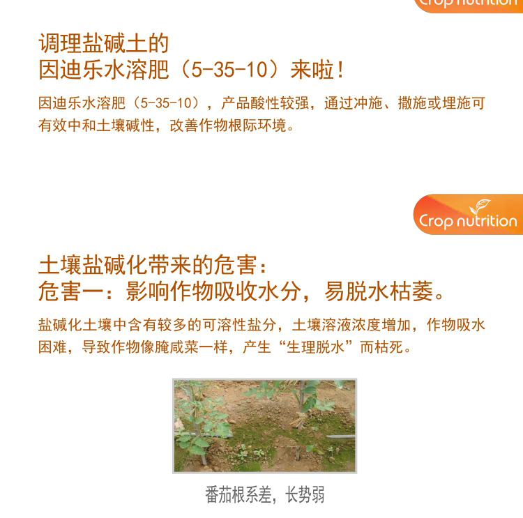 因迪樂(lè )有機鹽堿土調理水溶肥_03.jpg
