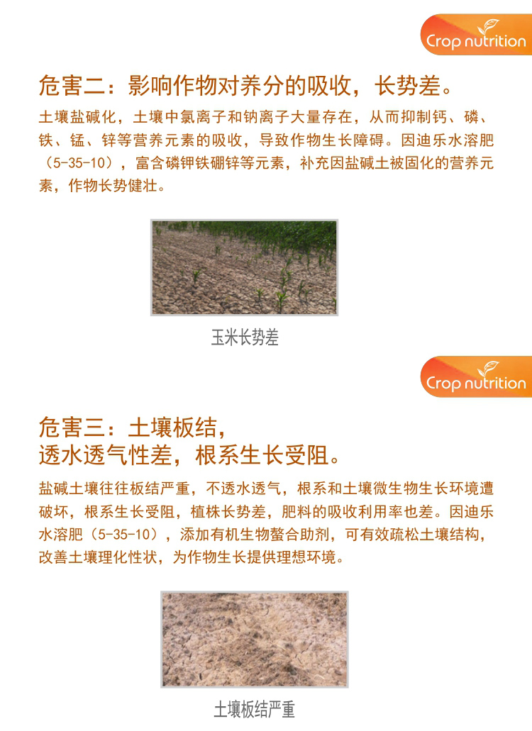 因迪樂(lè )有機鹽堿土調理水溶肥_04.jpg