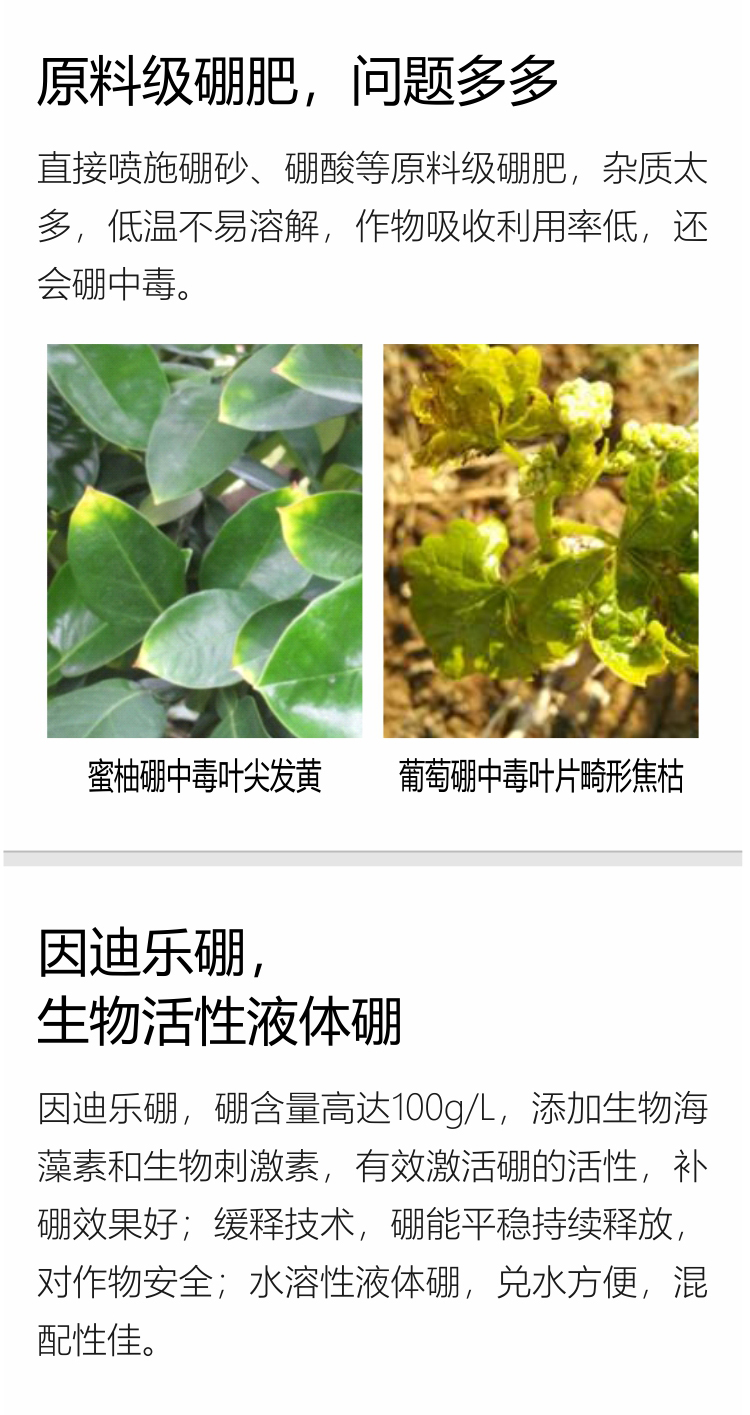 因迪樂(lè )有機海藻硼750_03.jpg