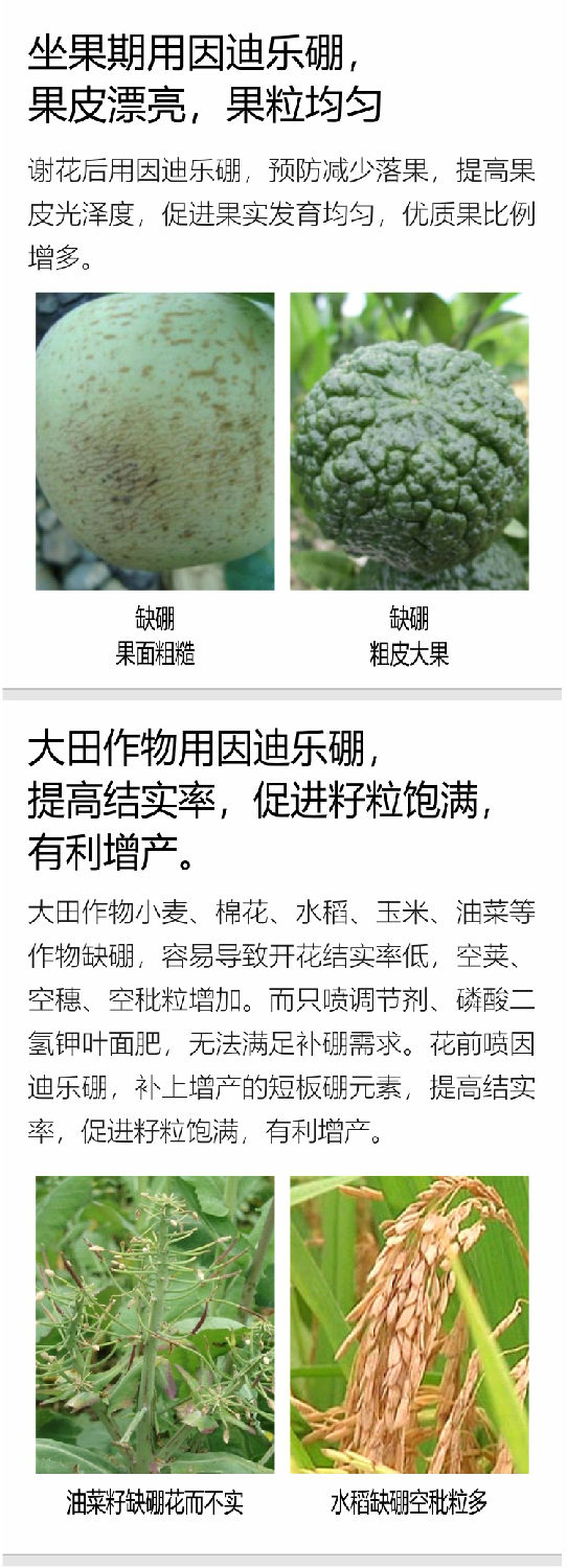 因迪樂(lè )有機海藻硼750_06.jpg