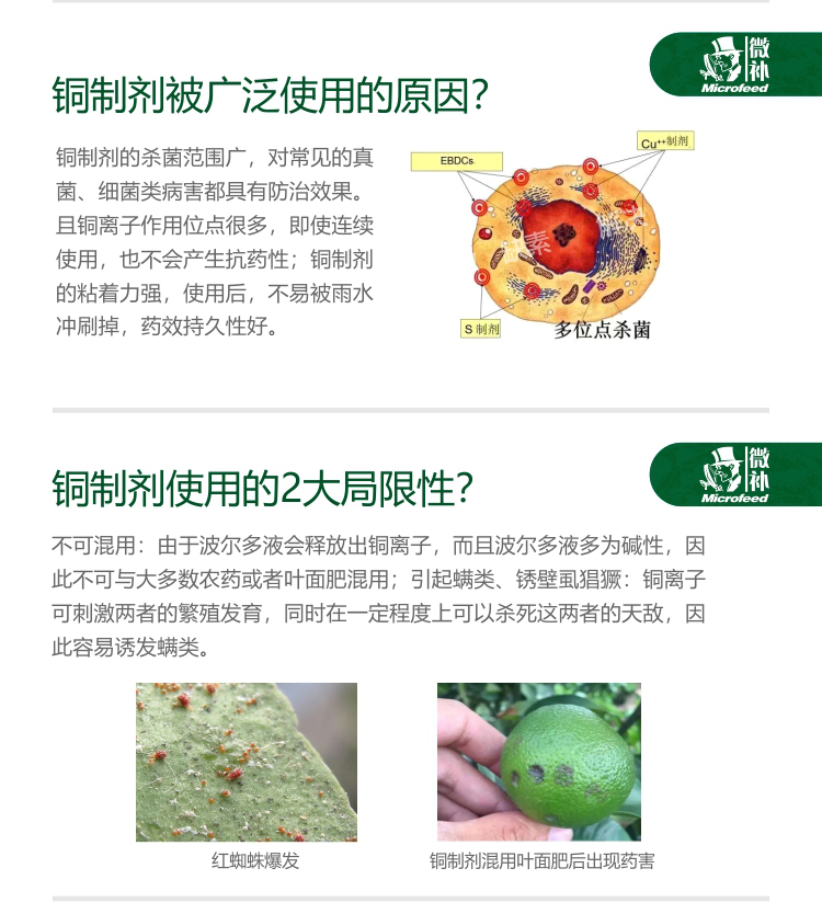 有機銅詳情頁(yè)_02.jpg