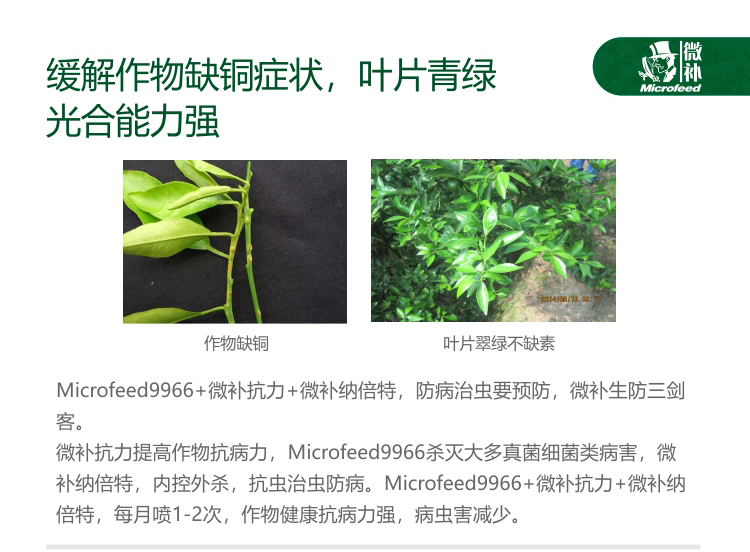 有機銅詳情頁(yè)_05.jpg