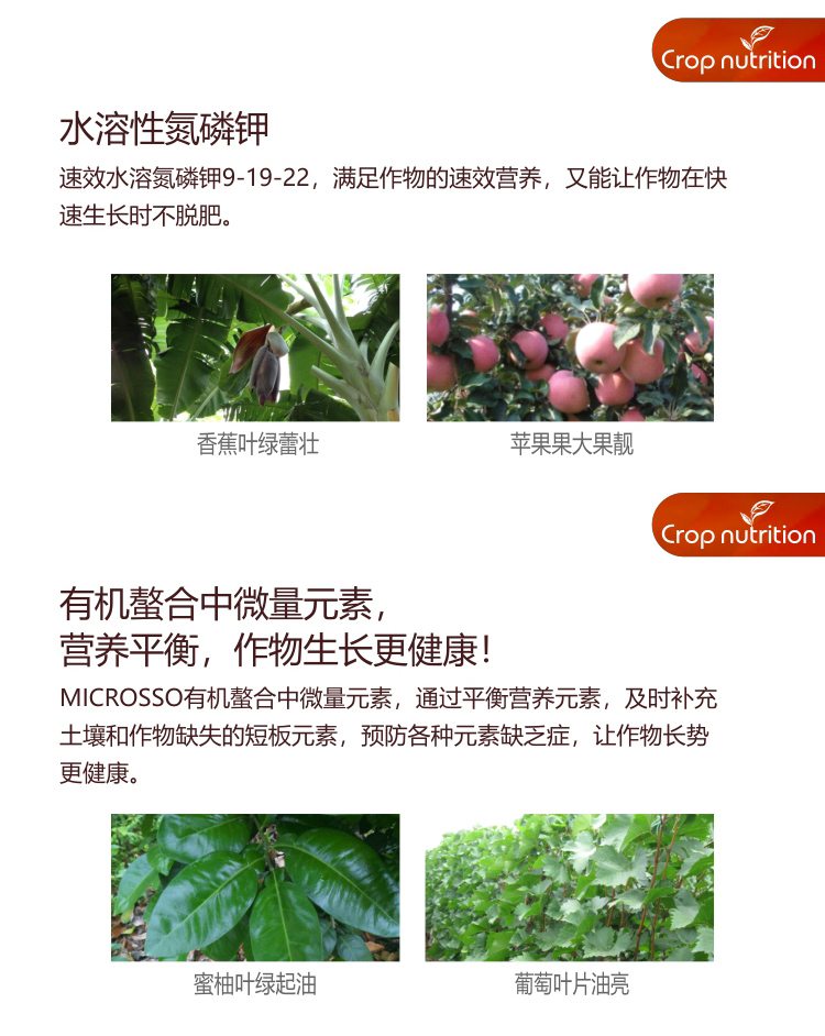 因迪樂(lè )精華粉詳情2_03.jpg