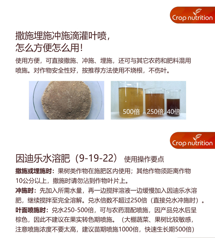 因迪樂(lè )精華粉詳情2_04.jpg