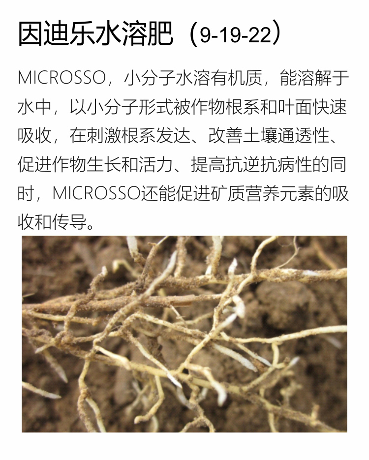 因迪樂(lè )精華粉詳情手機_03.jpg