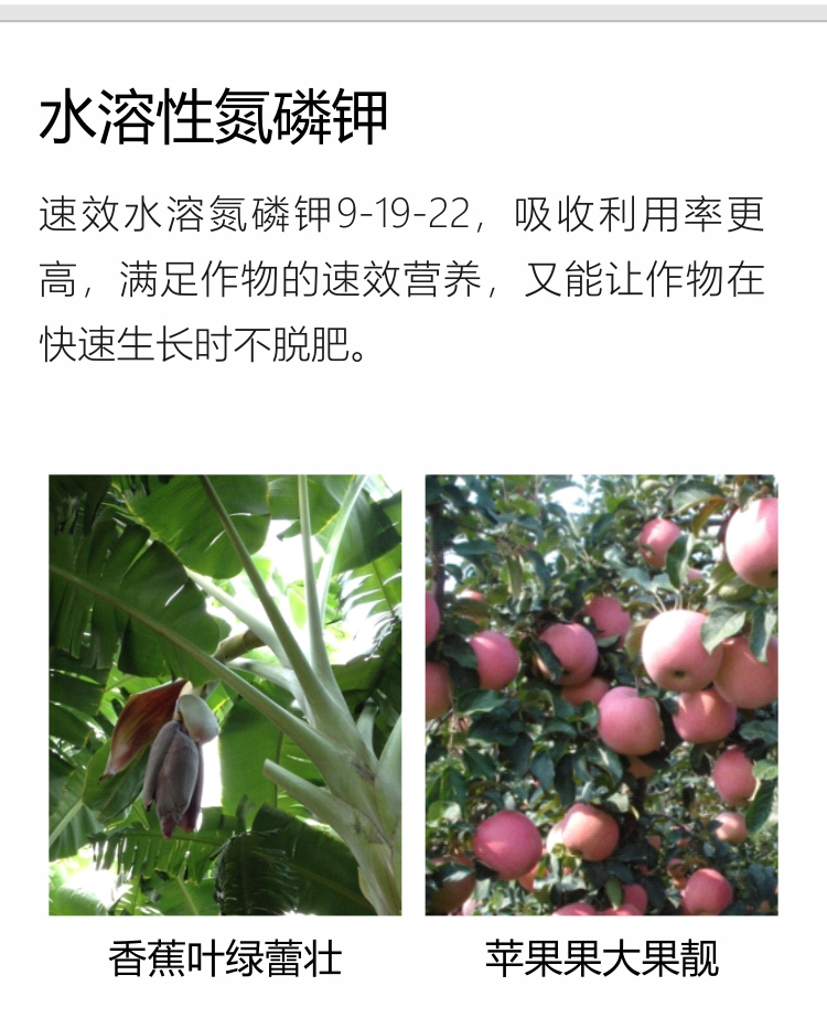 因迪樂(lè )精華粉詳情手機_04.jpg
