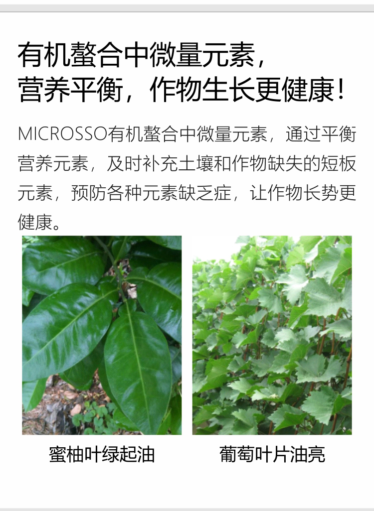 因迪樂(lè )精華粉詳情手機_05.jpg