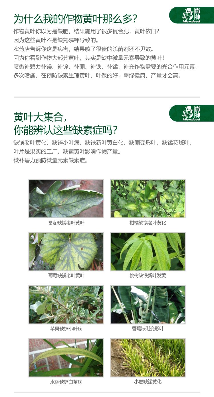 微補碧力【】_02.jpg