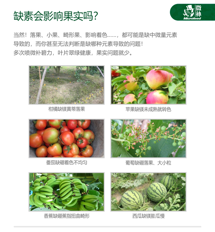 微補碧力【】_03.jpg