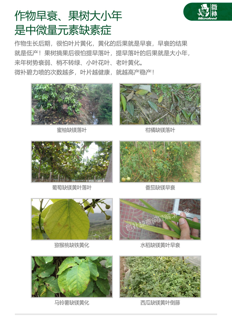 微補碧力【】_04.jpg