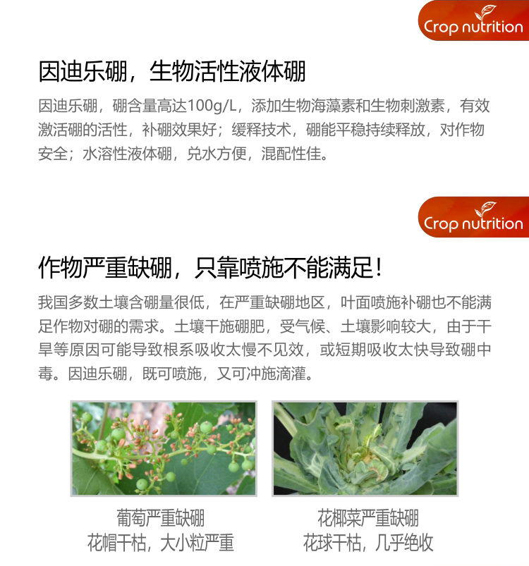 因迪樂(lè )有機海藻硼_03.jpg