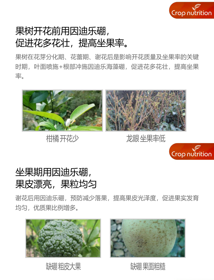 因迪樂(lè )有機海藻硼_04.jpg