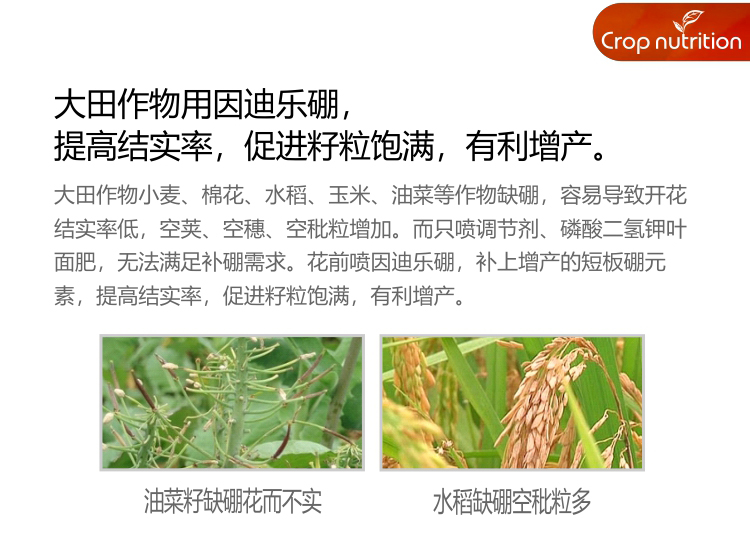 因迪樂(lè )有機海藻硼_05.jpg