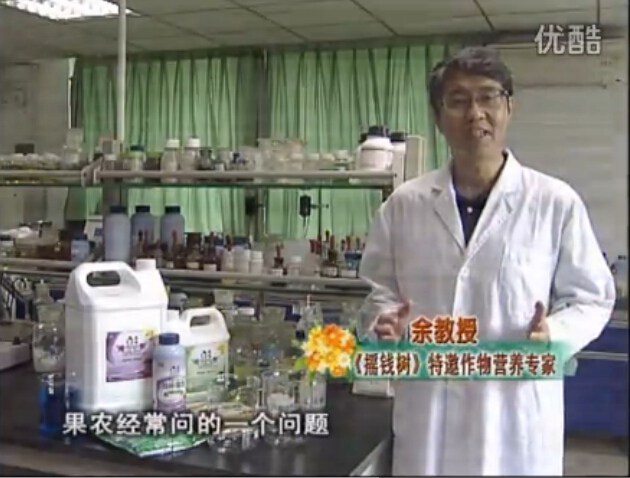 20150713珠江臺搖錢(qián)樹(shù)：如何正確混配肥料和葉面肥