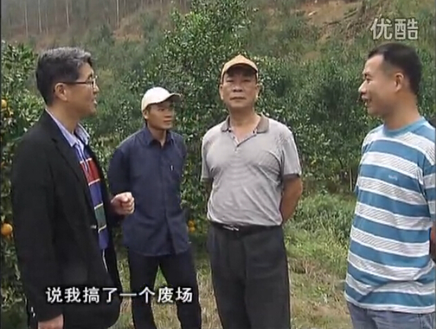 20160118珠江臺搖錢(qián)樹(shù)：貢柑用微補全年營(yíng)養方案，黃樹(shù)翻身還高產(chǎn)增果