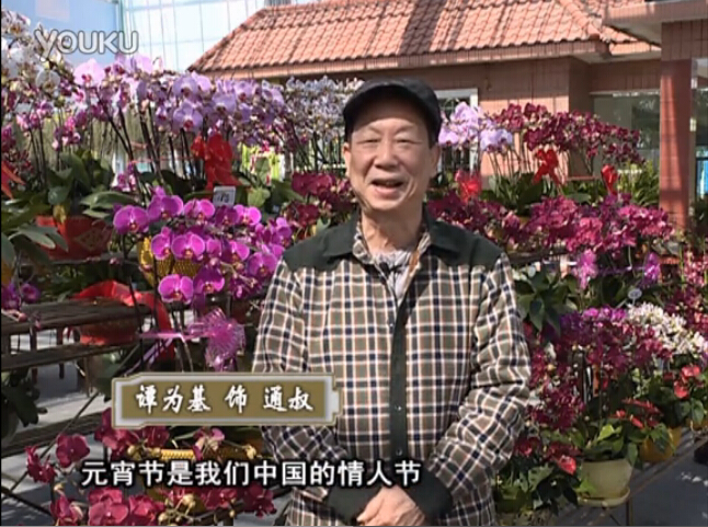 20160222珠江臺搖錢(qián)樹(shù)：用綠夫人營(yíng)養液，簡(jiǎn)單種花都能養得靚